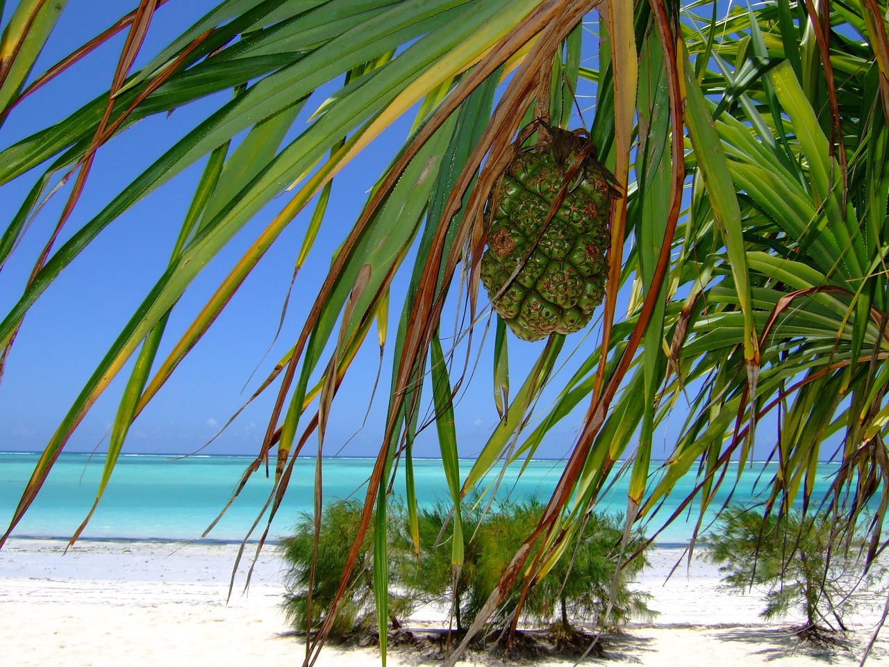 zanzibar-tour (7)